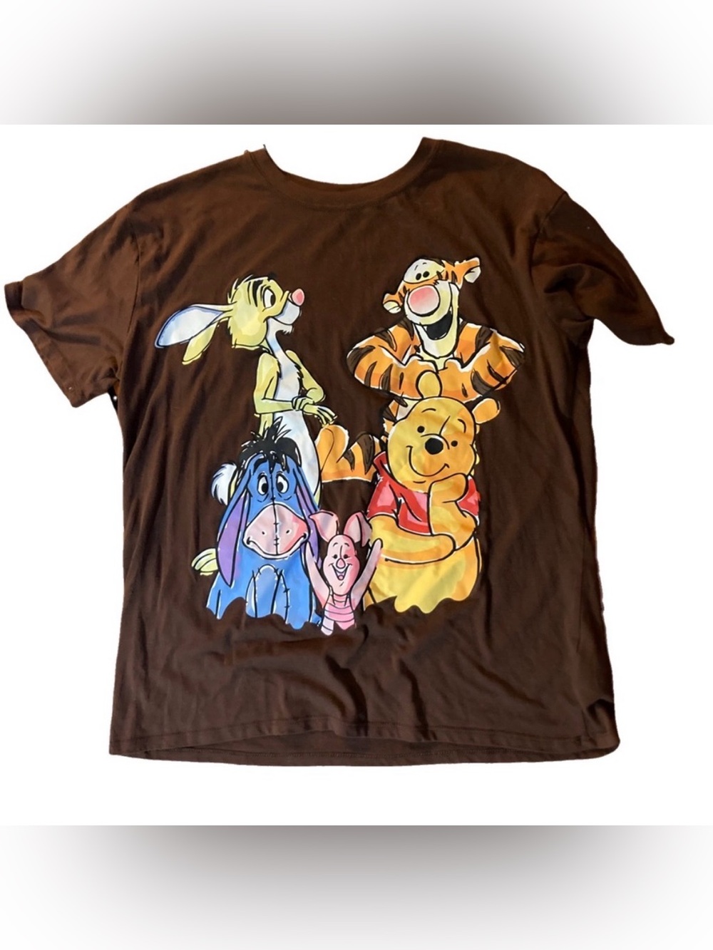 Disney Winnie the Pooh (and Friends) T-shirt Kids XL(15-17) Brown Like New